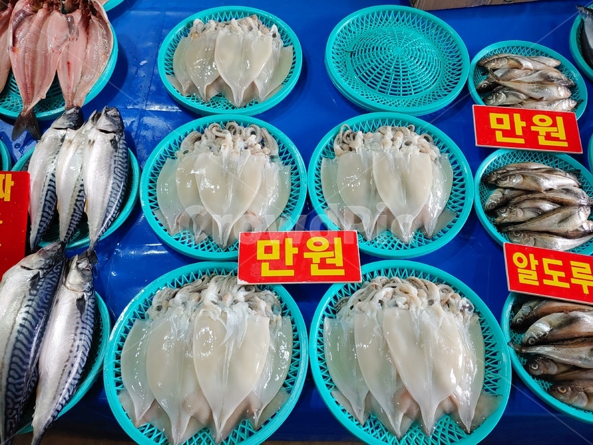 해산물,생선,오징어,생선포,해물,바다생물,seafood,food,식재료,음식,푸드,식자재,배경,바탕,백그라운드,어시장,생물,삼치,어물전,도루묵,오징어포,수산시장,시장,마트,마켓,market,mart,market place