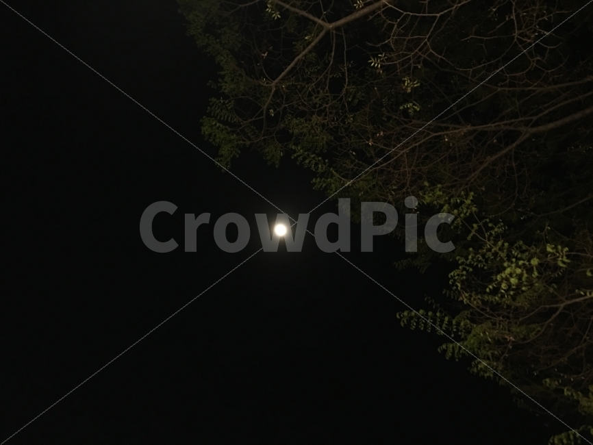 달,보름달,밤하늘,감성사진,밤,자연,풍경,nature,landscape,야경,밤,nightscape,night,outdoors,옥외,universe,우주,astronomy,천문학,outer space,대기권 밖,space