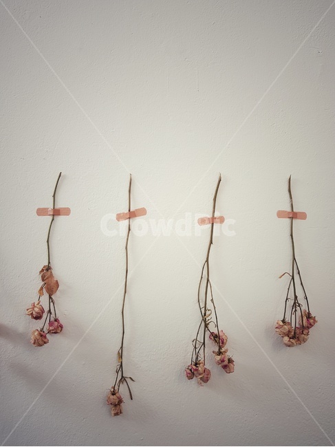 드라이플라워,빈티지,flower,감성사진,분위기,꽃,벽장식,꽃송이