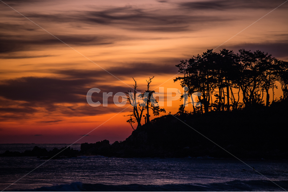 nature,자연,outdoors,옥외,sky,하늘,dawn,새벽,redsky,붉은하늘,sunset,일몰,dusk,황혼,명선도,진하해수욕장,신년,자연,풍경,nature,landscape