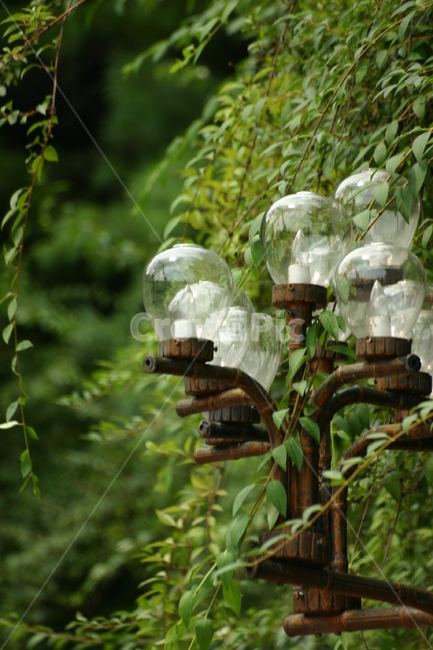가로등,streetlamps,lamp,ludeng,flower,house,tree,cottage,home,architecture,forest,wood,old,landscape,rural,building,wooden,birdhouse,bird,trees,leaf,romantic,lighted,way,pathway,lantern,illuminated,light,outdoor,park,plant,spring,background,summer,beauty,beautiful,green,garden,nature,street