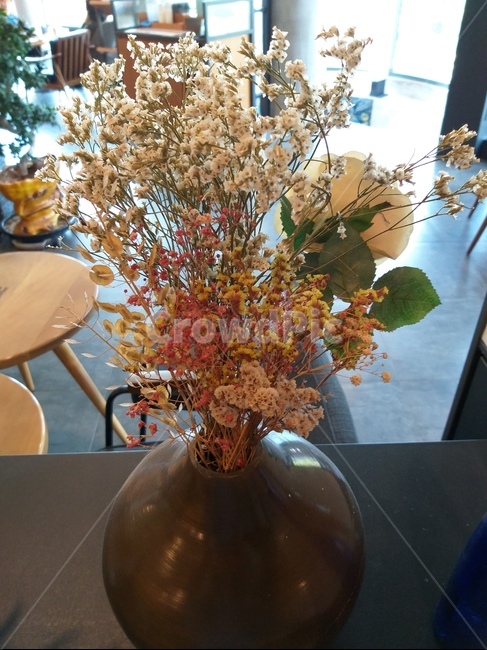 마른꽃,들꽃,가을,드라이플라워,항아리꽃병,dryflower,fall,autumn,yellow,brown