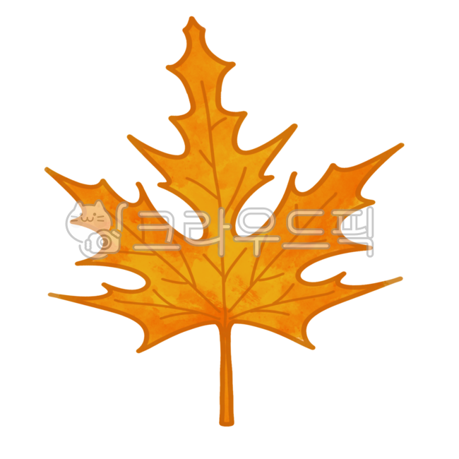 낙엽,나뭇잎,단풍잎,스티커,다이어리꾸미기,다이어리스티커,다꾸,일러스트,디자인요소,요소,leaves,mapleleaves,stickers,diarydecorations,diarystickers,decoration,illustrations,designelements,elements