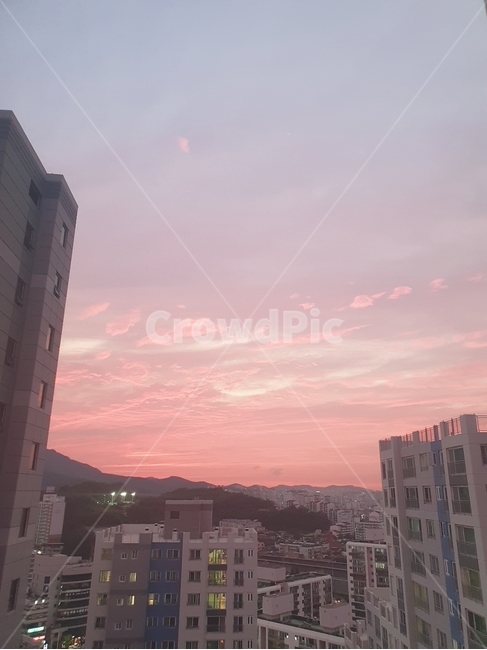 건물,building,시티,도시,어반,몽환적,감성,노을,해질녘,파스텔,분홍빛,아파트,일몰