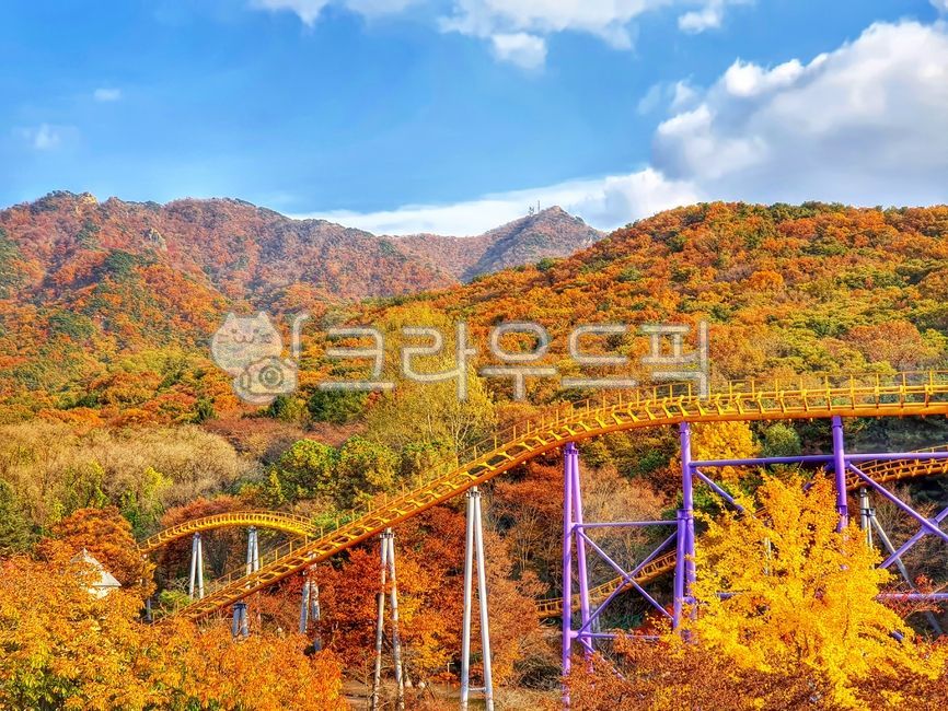 놀이동산,단풍,롤러코스터,서울랜드,청계산,가을,rollercoaster,park,과천
