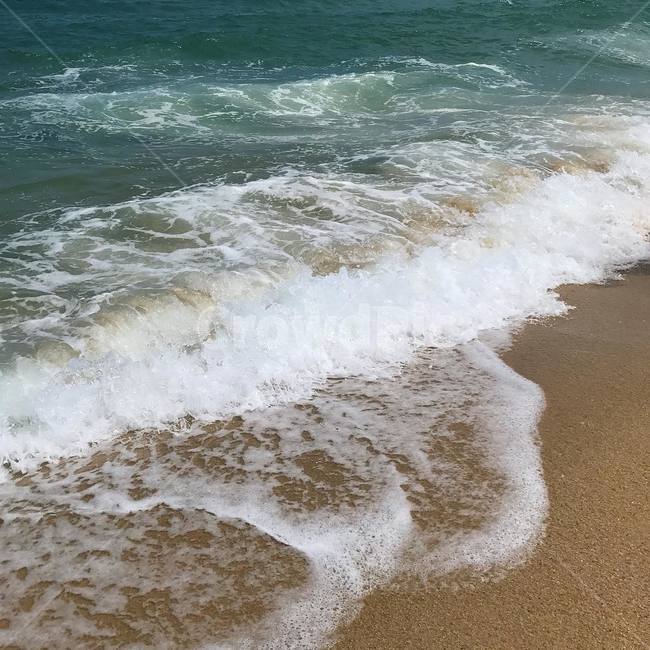 바다,강릉,안목해변,해수욕장,동해바다,해변,바다,beach,sea
