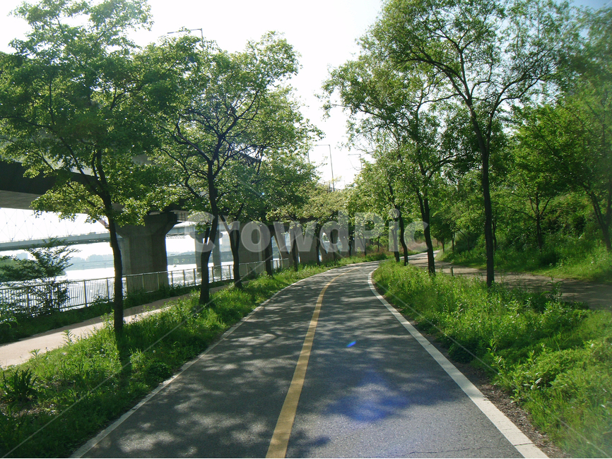 자전거도로,라이딩,한강,자전거길,나무,자전거,운동,한강하이딩,자연,풍경,nature,landscape,휴식,힐링,rest,relaxation,healing,asphalt,아스팔트,road,도로,tree,plant,식물