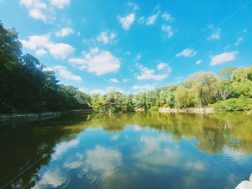 연못,하늘,파란,반사,자연,물에비친하늘,구름,대조,자연,풍경,nature,landscape,water,물,outdoors,옥외,lake,호수