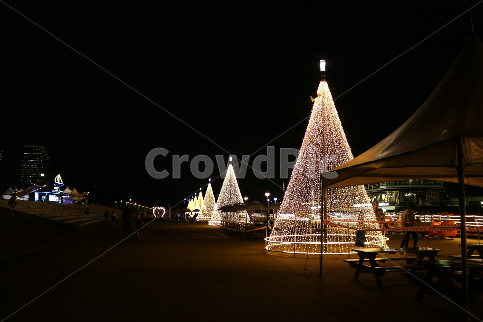 한강,야경,야간,조명,공원,트리,야경,밤,풍경,nightscape,night,landscape,lighting,building,건물,downtown,도심,town,도시,city,시티,urban,어반