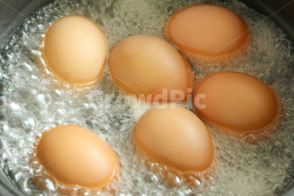 끓기,거품,달걀,계란,삶기,계란삶기,물,boil,brown,egg,cook,eggshell,food,group,hot,boiling,요리,음식,식재료,삶은계란,끓이기,음식,식재료,요리,food,cook,meal,dishes,food reserves