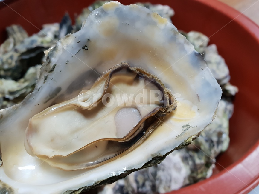 굴,다라이,굴껍질,해산물,삶은굴,음식,식재료,요리,food,cook,meal,dishes,food reserves,수산물,해산물,fishery products,seafood