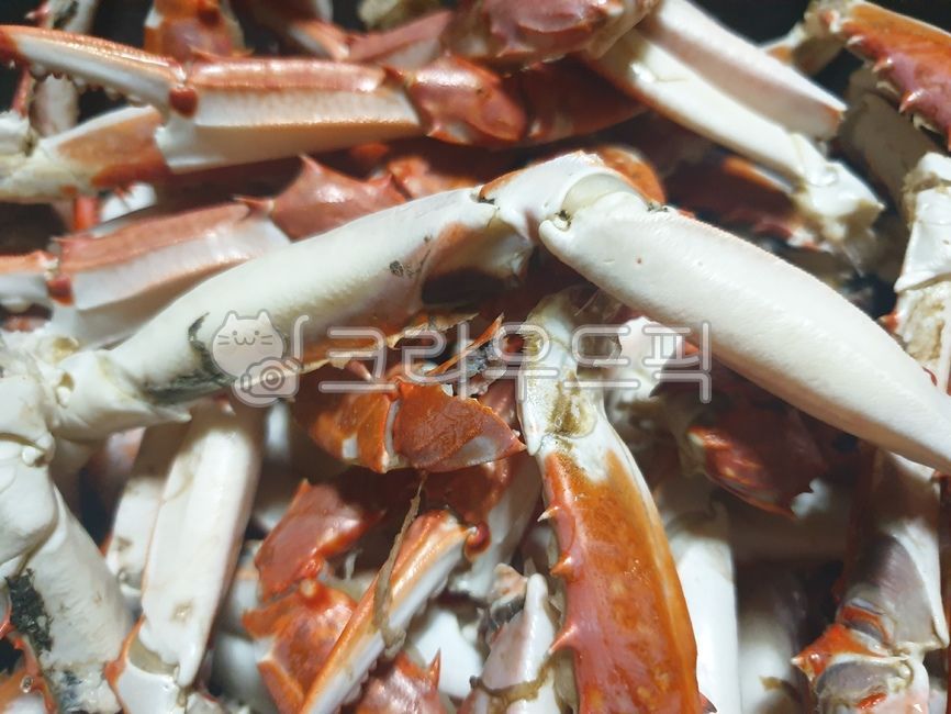 게,게다리,음식,요리,참게,꽃게,꽃게탕,꽃게다리,꽃게찜,seafood,해물,sealife,food