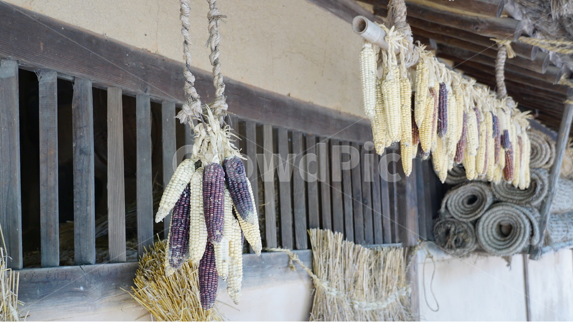 한국,민속촌,옛날,자연,집,음식,식재료,요리,food,cook,meal,dishes,food reserves,곡류,곡식,cereals