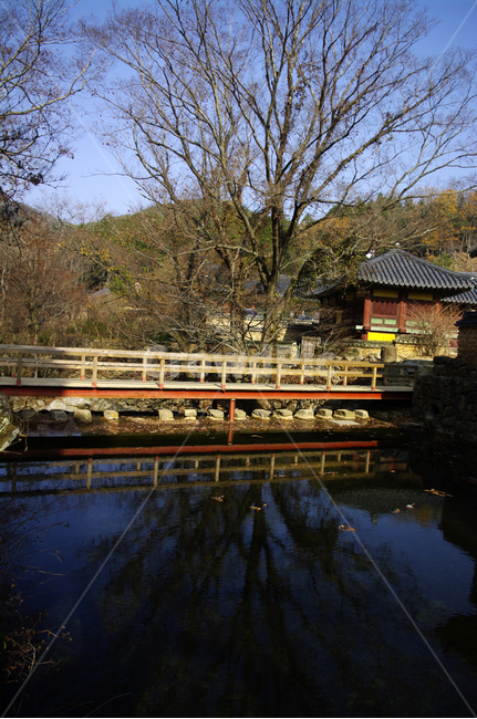 반영,겨울,건축,전통,기와지붕,사찰,겨울,계절,winter,season,한국전통,한국문화,korean traditional,korean culture