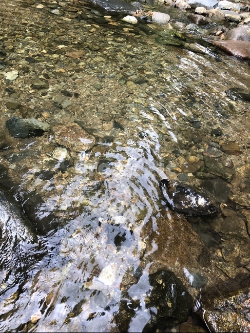 water,물,계곡,여름,휴가