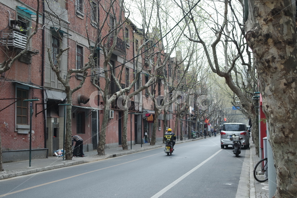 상해,상하이,shanghai,옛거리,오토바이,나뭇가지,겨울나무,황푸,huangpu,옛도시,oldcity,가로수,가로수길,city,시티,road,building,도로,town,도시,street,거리,automobile,vehicle,자동차