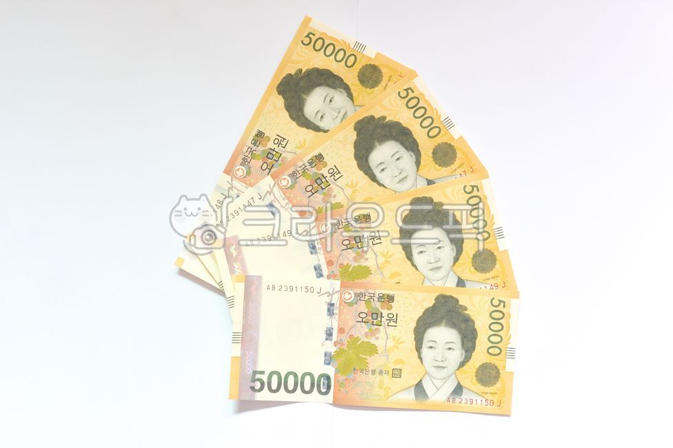 Shin Saimdang,000 won bill,000 won,Pin money,200,print,Korean money,new money,money,paper,New Years money,50,female,cash
