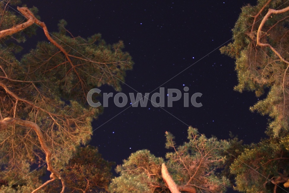 별사진,북두칠성,소나무,밤하늘,별,star,별자리,greatbear,자연,nature,야경,밤,풍경,nightscape,night,landscape,outdoors,옥외,water,물,sea,바다,ocean,대양,animal,동물,sea life,해양 생물,reef,암초