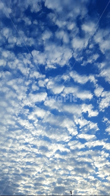 하늘,구름,양떼구름,푸른하늘,양떼,풍경,자연,nature,자연,풍경,nature,landscape,outdoors,옥외,azure sky,푸른 하늘,sky