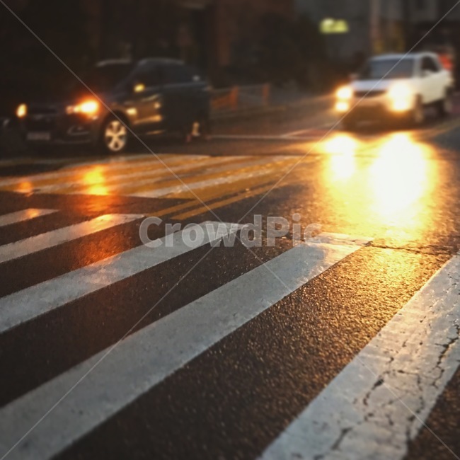 asphalt,아스팔트,tarmac,road,도로,automobile,자동차,transportation,교통,car,차,zebracrossing,얼룩말교차점,차량,저녁,퇴근길,교통,교통수단,traffic,transportation