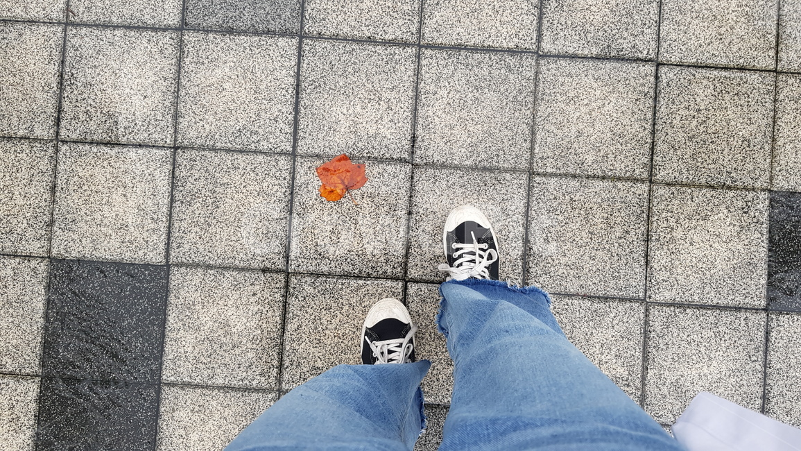 clothing,구두,footwear,의류,apparel,신발류,의복,shoe,청바지,스니커즈,무지퍼셀,단풍잎,비,비오는날,rain,rainy,패션스타일,의상,fashion,style