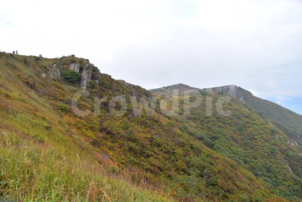 영축산,신불산,영남알프스가을,풍경,낙엽,명산,자연,비경,단풍나무,가을색,가을색채,가을풍경,운해,장관,구름,억새,영알,억새평전,mountain,landscape,가을,계절,fall,autumn,season,자연,풍경,nature,landscape,한국자연풍경,한국자연경관,korea nature landscape,outdoors,옥외,hill,언덕