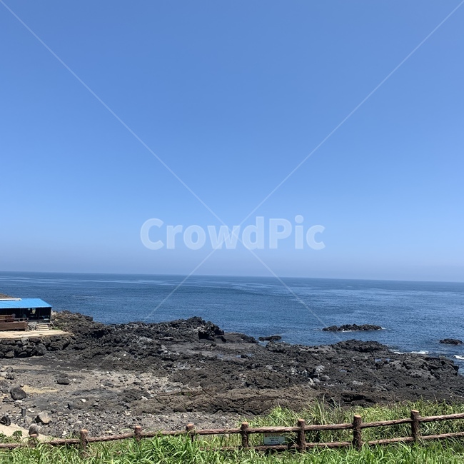 여름,바다,제주도,바위,돌