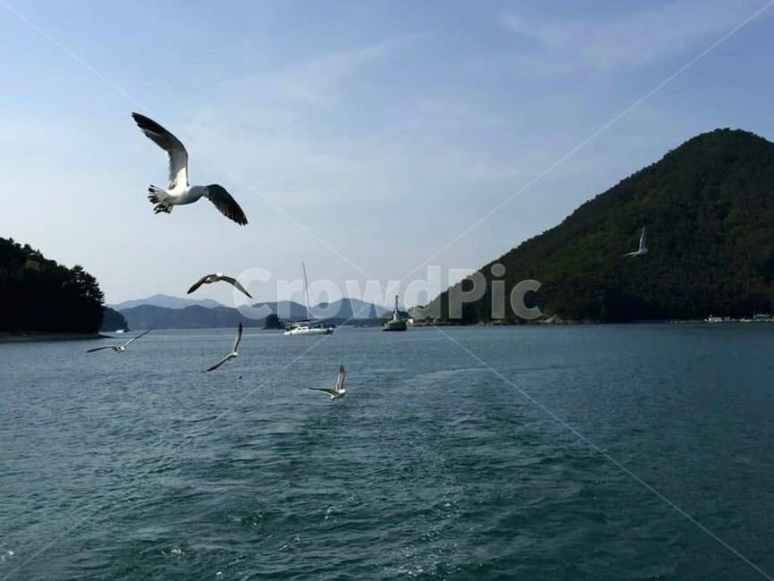 바다,산,자연,구름,갈매기