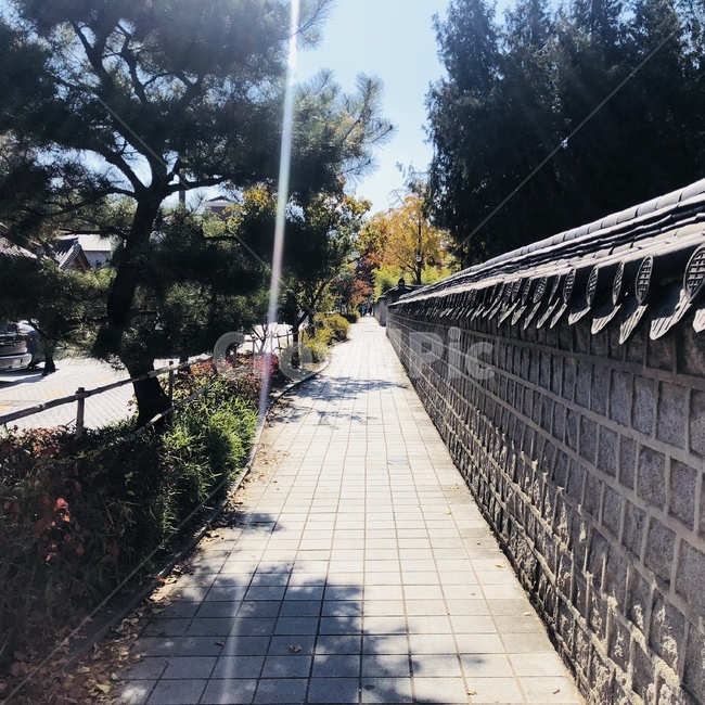 길,전주,전주한옥마을,나무,돌
