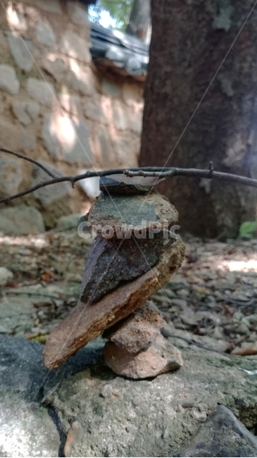 돌탑,나뭇가지,나무,돌담,6층돌탑,자연,풍경,nature,landscape,slate,슬레이트