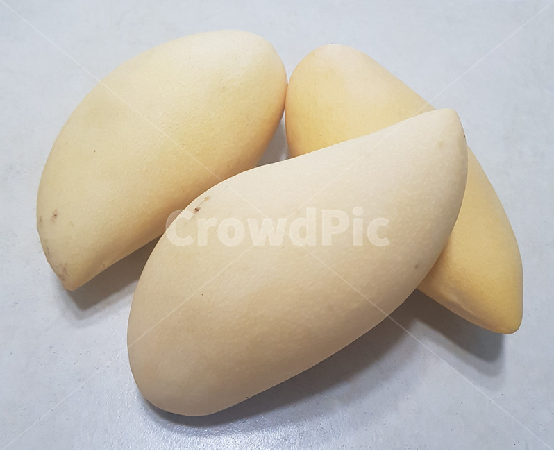 plant,식물,과일,망고,노란색