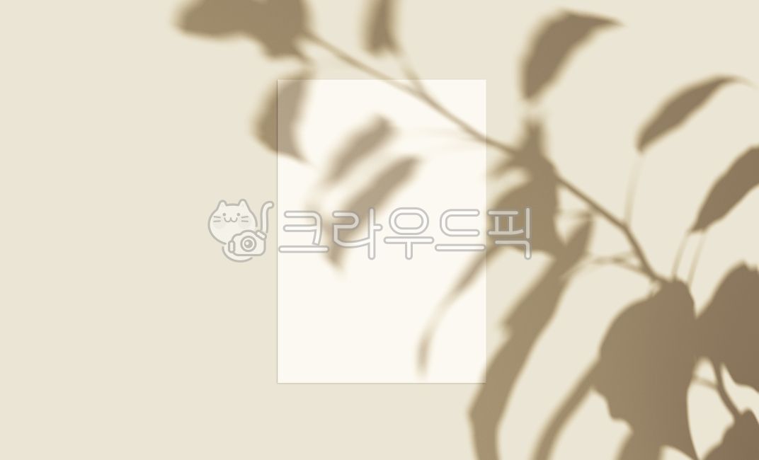 shadow,mockup,background,brochure,book,poster,frame,effect,leaf,leaves,overlay,realistic,transparent,pastel,tree,texture,leaflet,frame,banner,summer,letter,business card,stationery,paper
