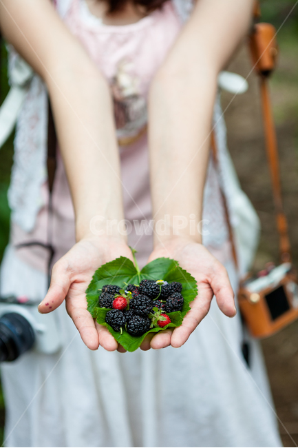 오디,소녀,비타민,과일,선물,정원,사람,인물,인간,human,person,신체일부,몸,body,과일,열매,fruit
