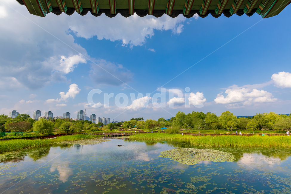 nature,자연,옥외,outdoors,water,물,연못,pond,구름,cloud,대전,대전광역시,한밭수목원,반영,reflection,호수,lake,도시,city,여름,summer,낮,afternoon,절경,주경,clean,맑음,weather