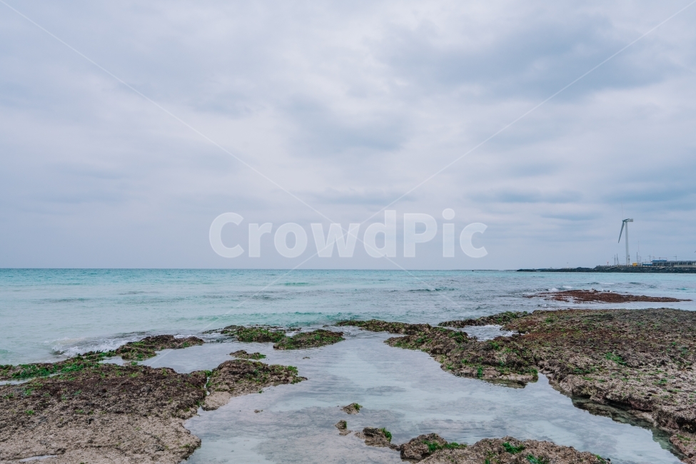 제주도,바다,겨울바다,월정리,파도,해변,제주,모래사장,모래,풍경,자연,korea,jeju,sea,wave,wintersea,자연,풍경,nature,landscape,한국자연풍경,한국자연경관,korea nature landscape,해변,바다,beach,sea,제주도,jeju,jeju island,plant,식물,promontory,곶