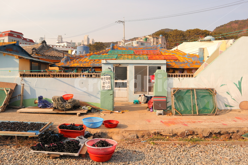 해운대,청사포,마을,집,미역,시골
