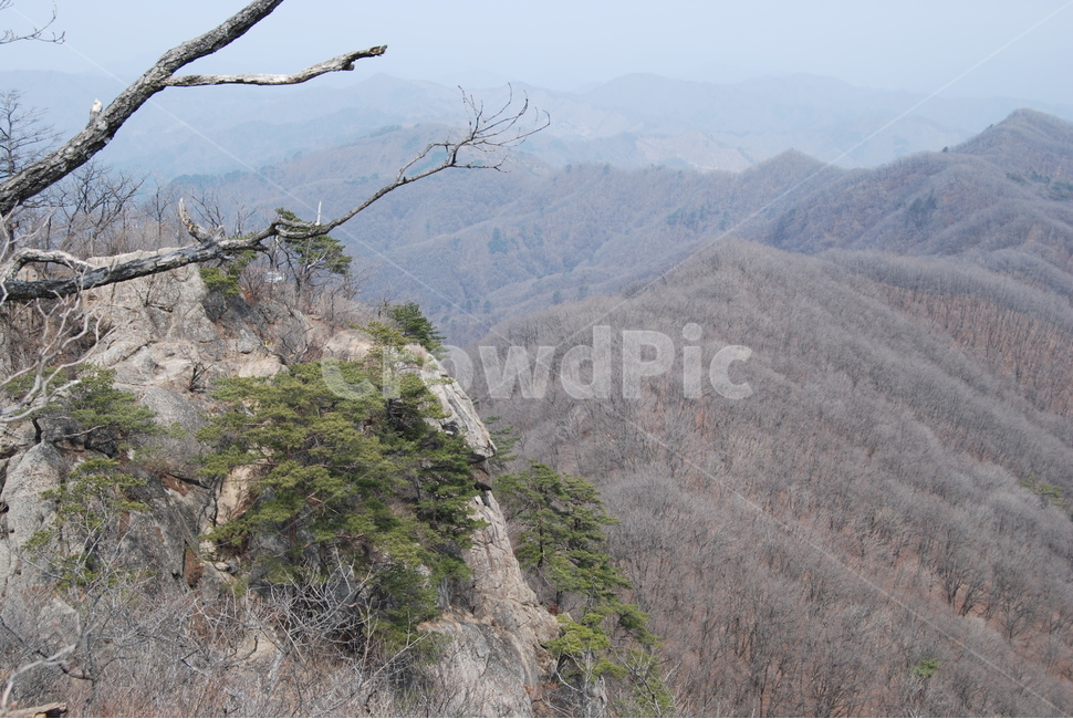 등산로,휴양림,명산,홍천,한국,자연,풍경,nature,landscape,한국자연풍경,한국자연경관,korea nature landscape,outdoors,옥외
