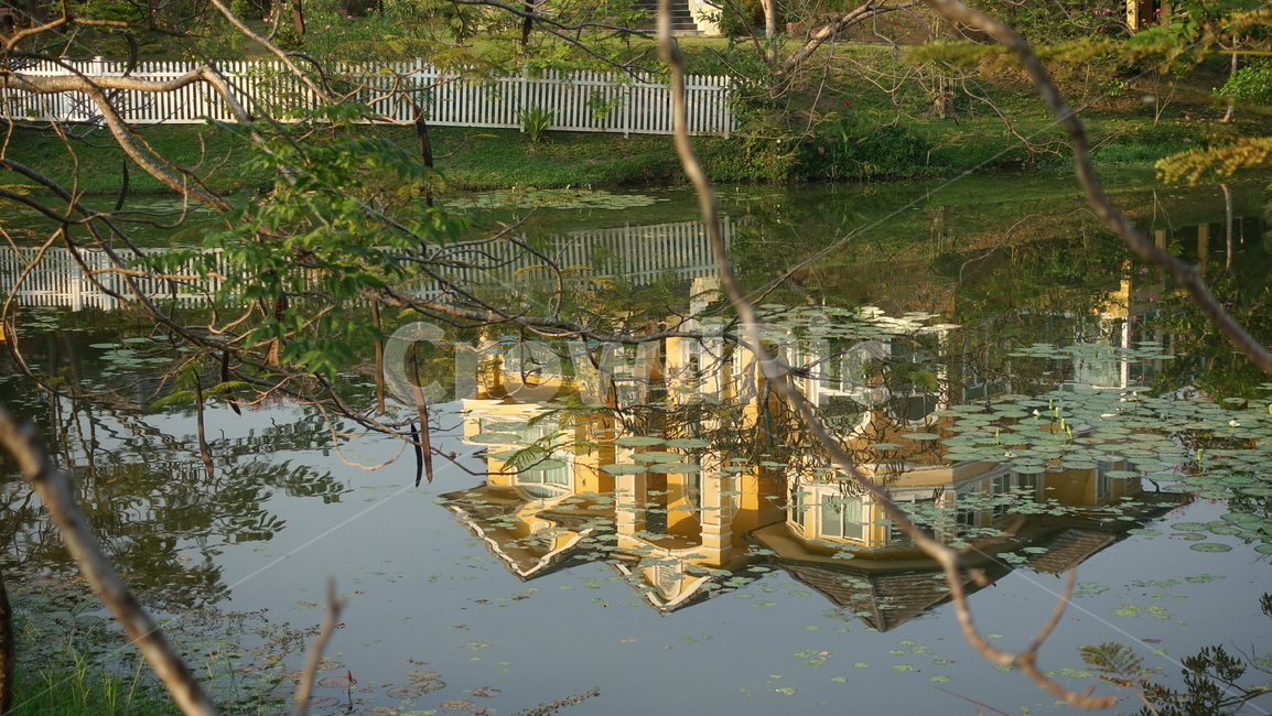물,water,반영,reflection,house,집,pond,outdoors,옥외,nature,자연,못,연못,주택