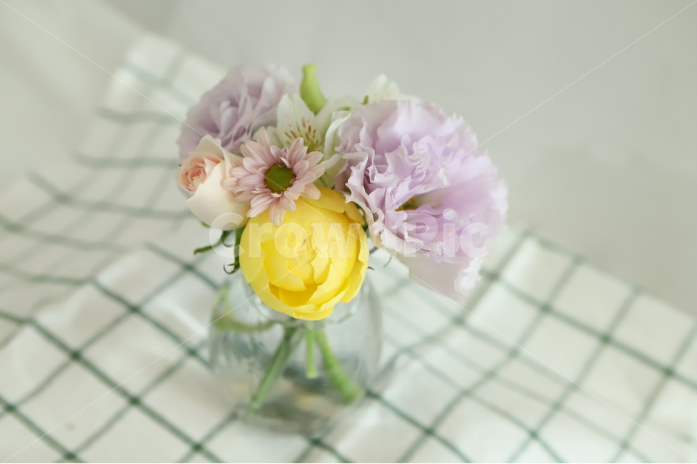 plant,flower,blossom,feeling,sensible,nature,식물,꽃,자연,색감,색깔,색채,시즌,감성사진,힐링,감성,배경,봄,카탈리나,리시안셔스,꽃꽂이,체크,테이블보,유리병,꽃병,근접,접사,vase,실내용화초,화분,화초,house plant