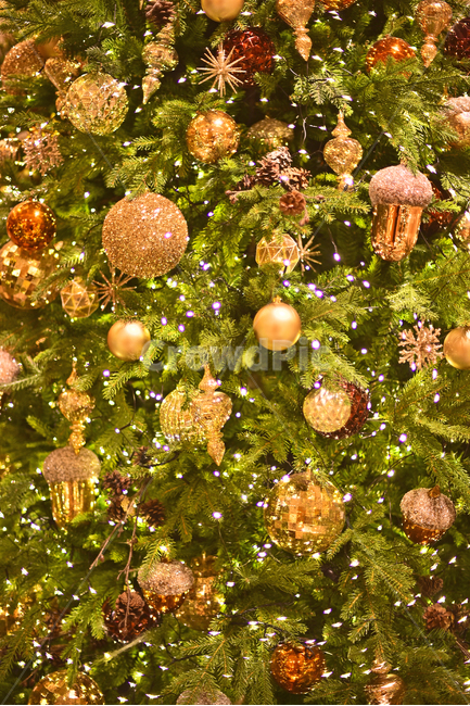 크리스마스,성탄트리,년말장식,성탄절,christmas,xmas,decoration,tree,ball,성탄볼,보케,빛망울,화려한,칼라풀,조명,불빛,라이트,색감,colorful,light,bokeh,배경,바탕,백그라운드,background,나무,장식,christmastree,크리스마스트리,plant,식물,메리크리스마스,성탄절,merry christmas