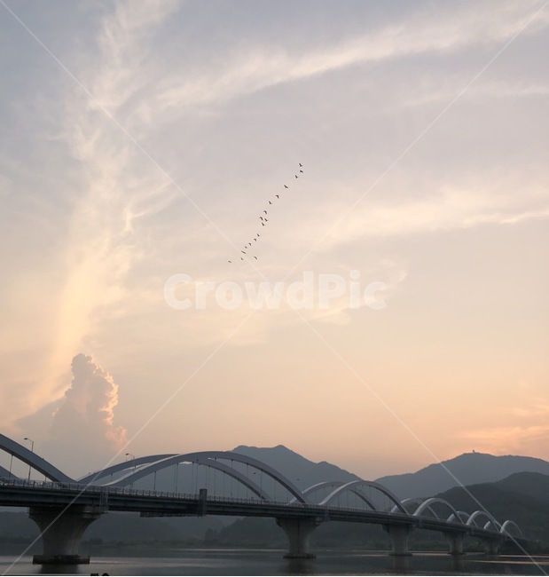 철새,대교,구름,노을,building,cloud,sunset,birds