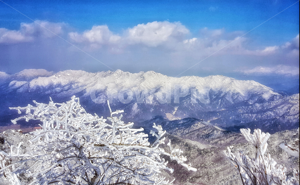 속리산,겨울,설산,눈꽃,상고대,하늘,구름,눈꽃풍경,겨울풍경,국립공원,힐링,눈풍경,파란하늘,snow,landscape,눈,화이트,자연,계절,서리꽃,winter,season,풍경,nature,한국자연풍경,나무,식물,trees,wood,plants,겨울,계절,winter,season,자연,풍경,nature,landscape,한국자연풍경,한국자연경관,korea nature landscape,ice,빙,outdoors,옥외