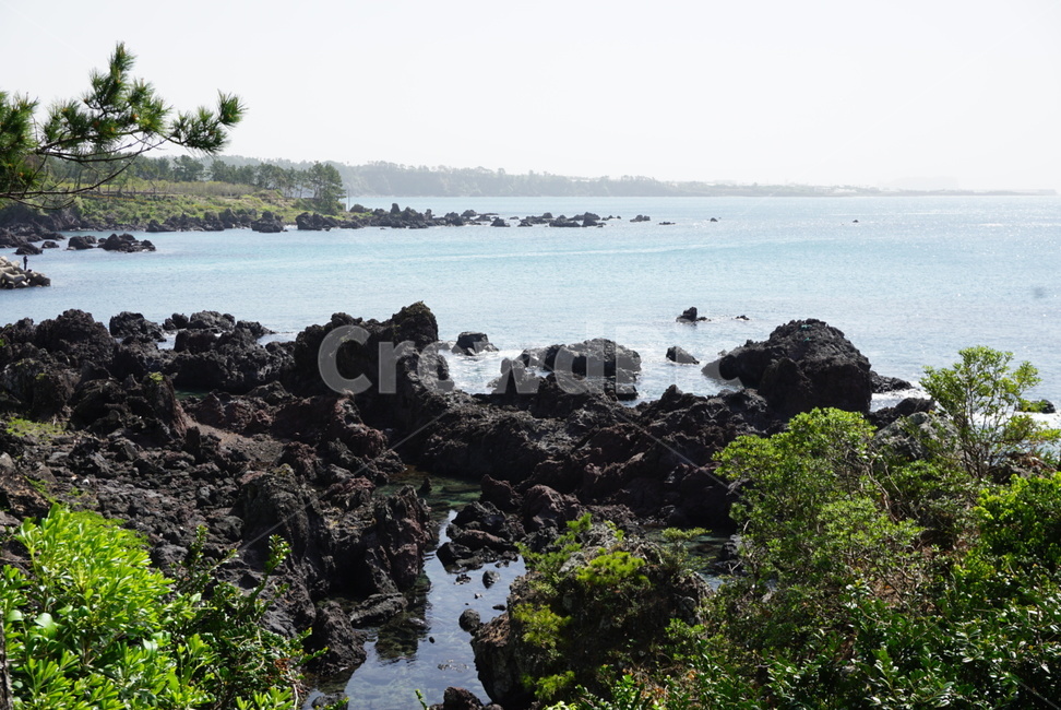 돌,바다,자연,제주도,푸른색,초록색,검은색,sea,stone,nature,배경,풍경