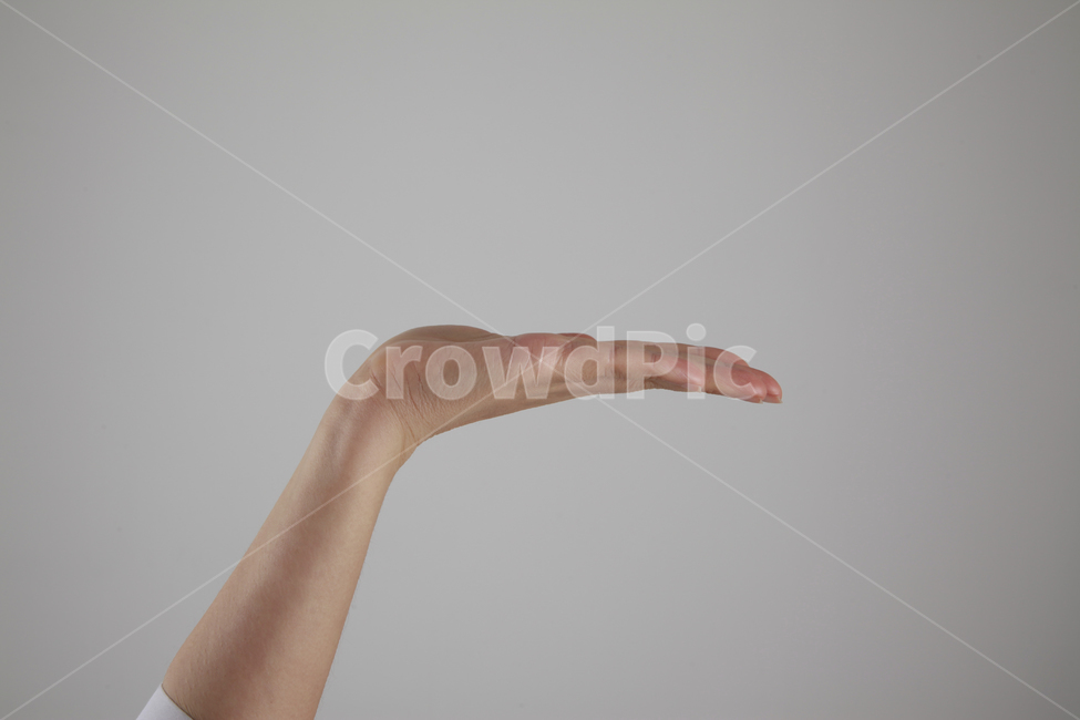 손각도,손,손모양,손가락,팔,왼손,손바닥,신체일부,손짓,표현,받침,사람,연출,컨셉,콘셉,동양인,human,person,body,hand,sign,expression,신체일부,몸,body,손,제스처,표시,손짓,표현,gesture,hand,sign,expression