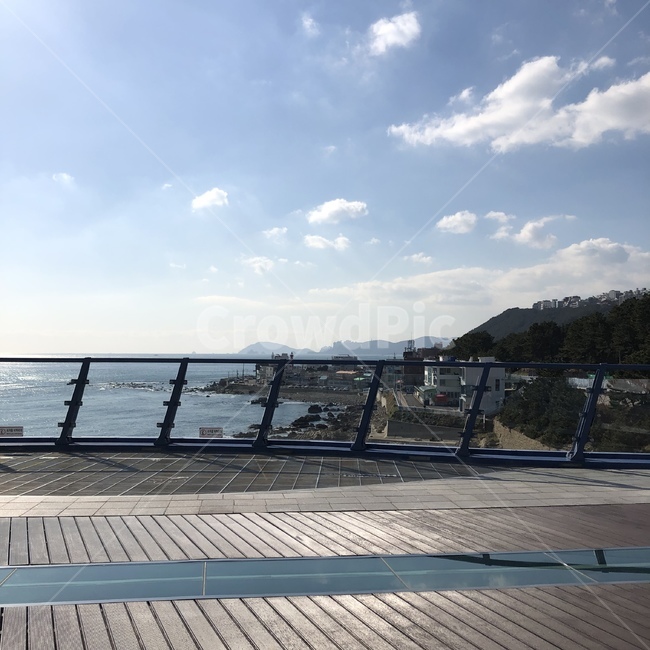 부산,구름,바다,돌,전망,나무