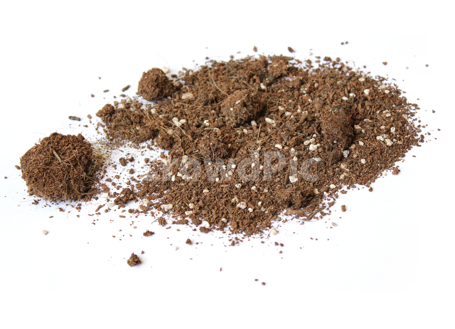 흙,모래,soil,sand,soiltexture,덩어리,탑앵글,흰배경,누끼,가루,흙가루,모래가루,갈색,브라운,텍스춰,건조한,black,botany,brown,closeup,compost,dark,dirt,dirty,dry,dust,grain,heap,humus,ingredient,macro,mineral,nobody,object,organic,path,powder,splash,spray,texture,topview,toxic,뿌린,누끼,remove background