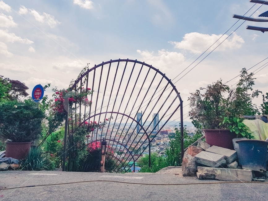 하늘공원,풍경,꽃,감성,하늘,다리,도시,풍경,city,landscape,감성,sensible,feeling