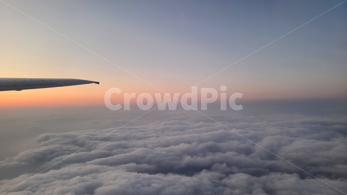 비행,flight,구름위,하늘,구름,항공