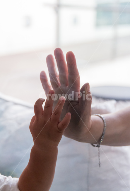 finger,small,glass,kid,adult hand,baby hand,body,cute,Aison,consensus,warm,attachment,children,sash,Palm,baby,family,fern hand,hand
