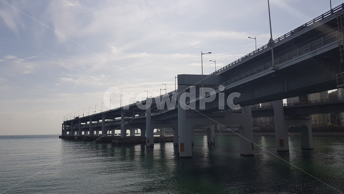 도로,다리,고속도로,영도대교,수영만,부산